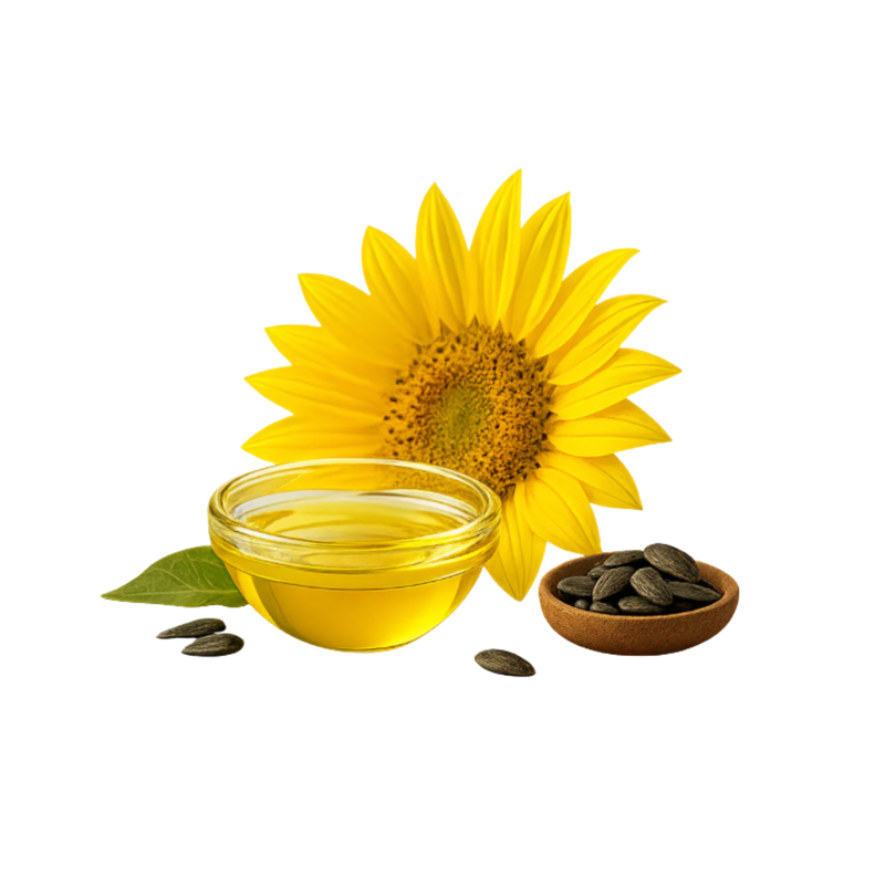 Huile de tournesol
